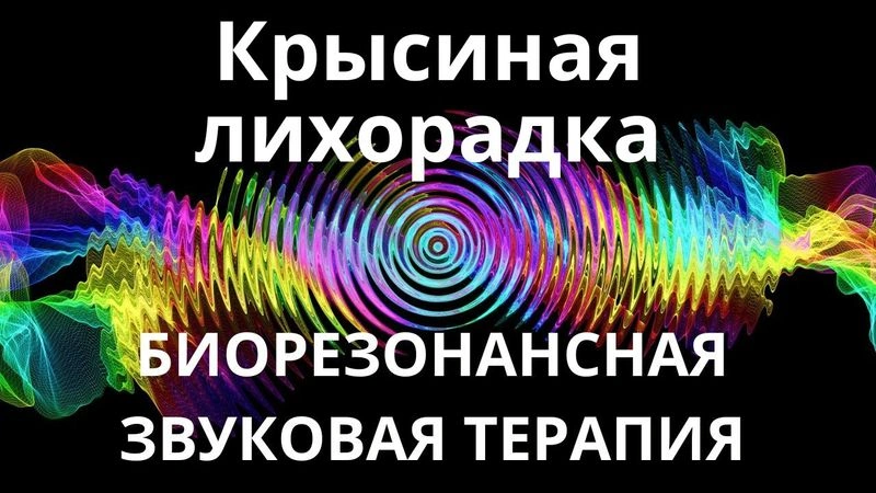 Крысиная лихорадка_Сеанс звукотерапии_Звуки природы