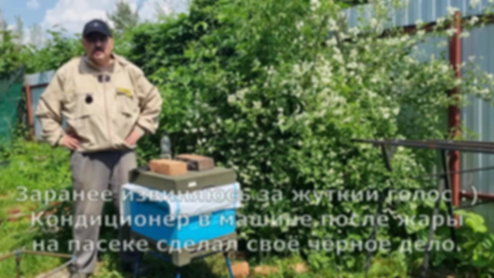 94 Как я избавляюсь от муравьёв в улье