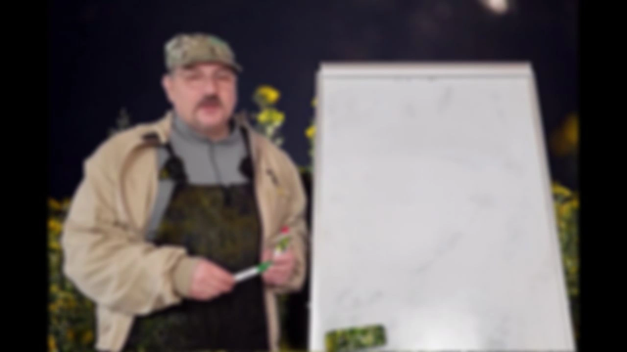 22 Как новичку не спутать матку с пчелой или трутнем