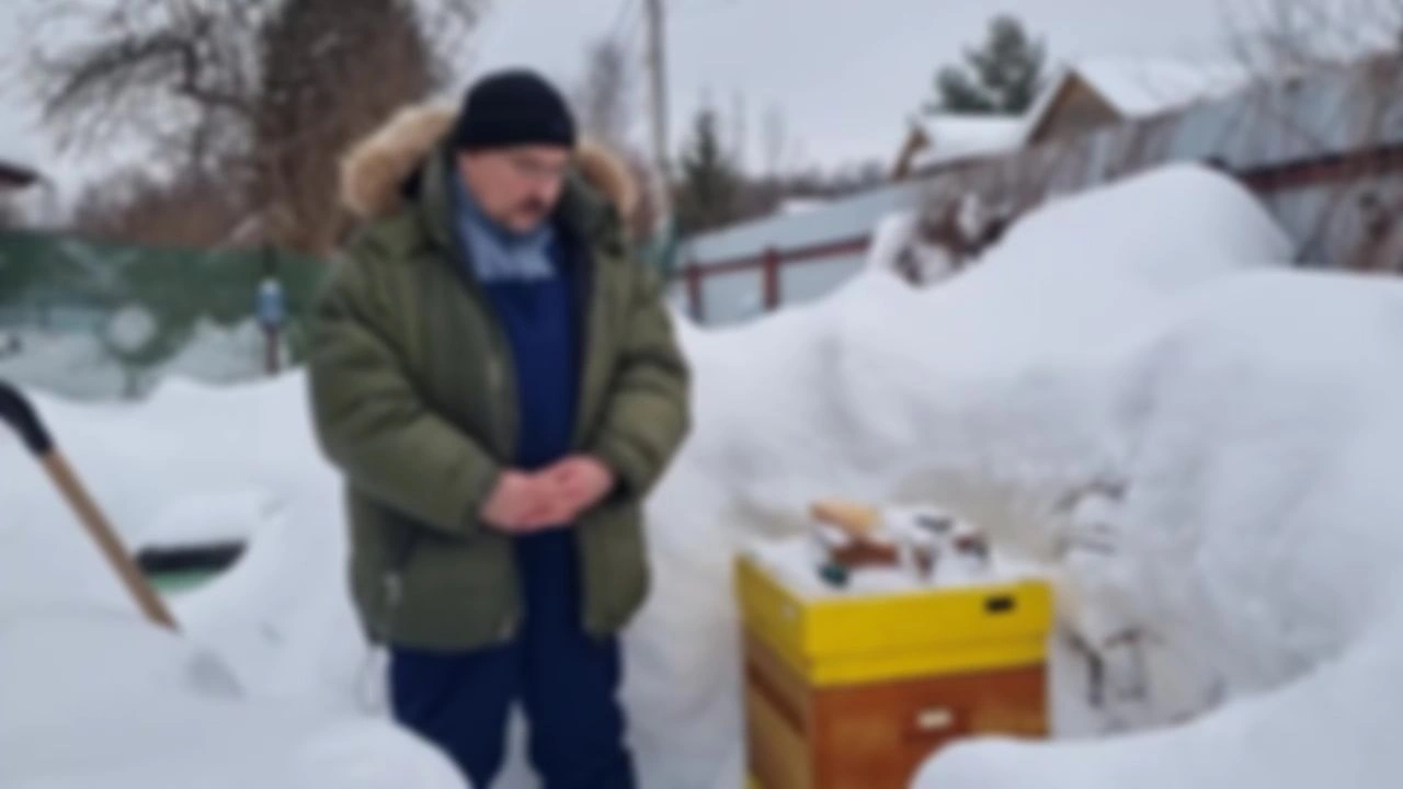 19 Внеочередное. Спасаем улей от синичек
