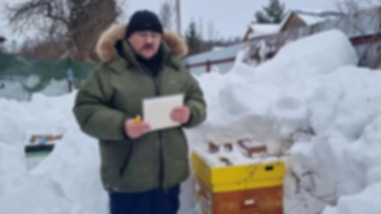 16 Внеочередной ролик. Канди