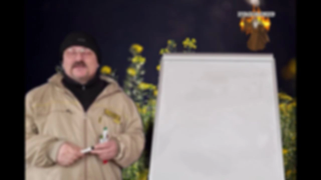 1 Введение