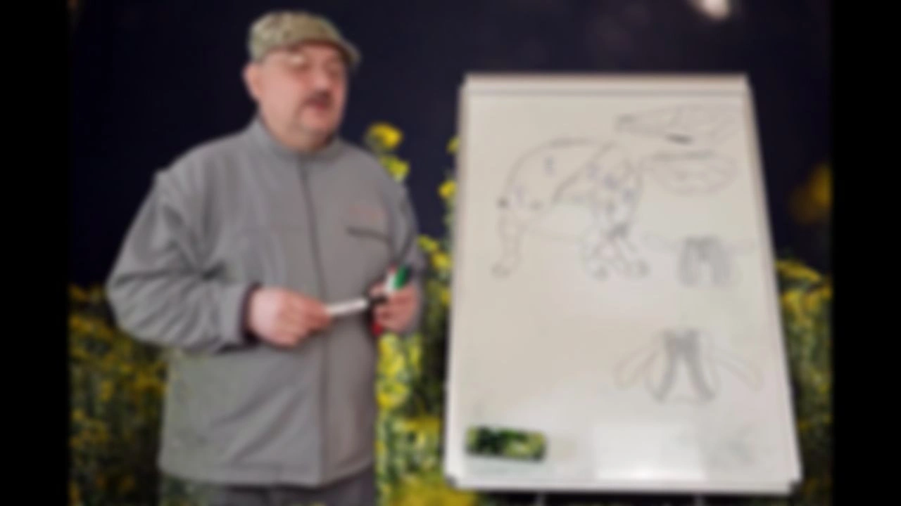 32 Грудь пчелы