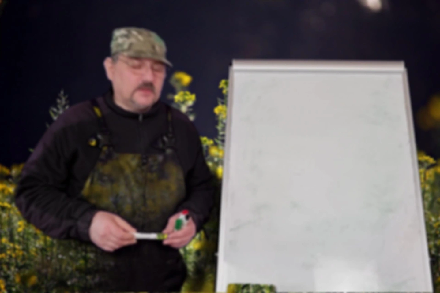 23 Зрение пчёл