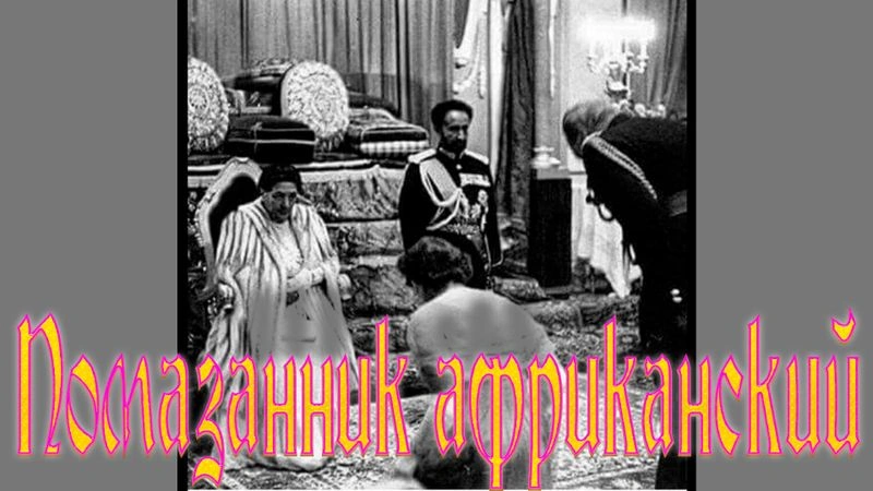 Помазанник африканский. ч.1.