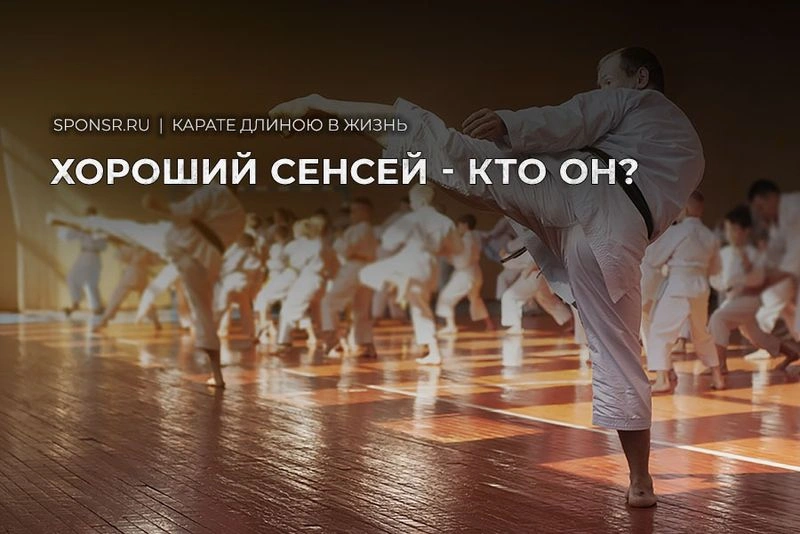 Какой он — хороший сенсей?