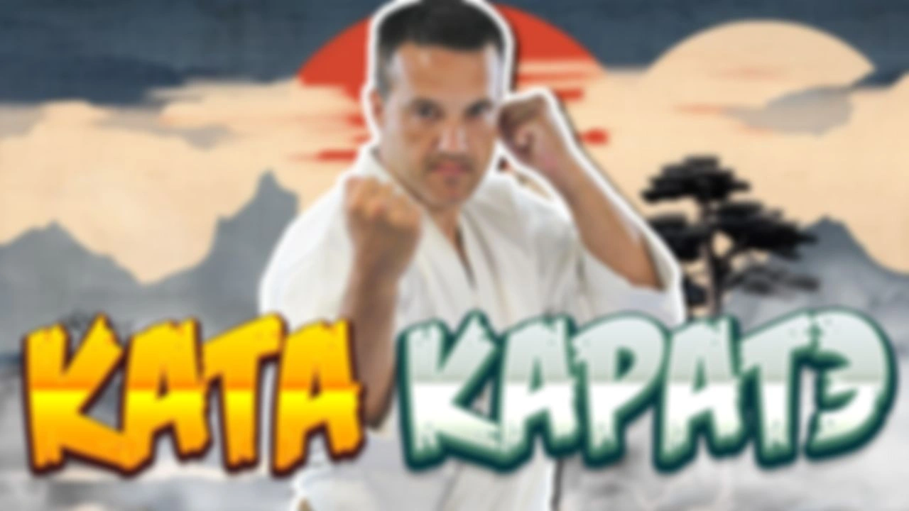 Что на самом деле имели ввиду отцы-основатели каратэ говоря о ката?