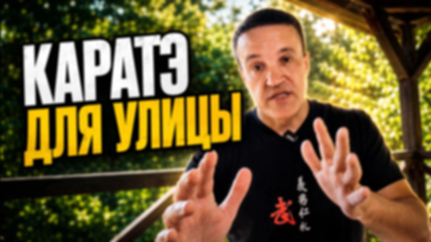 Чем отличается каратэ для улицы от спортивного и традиционного? Поговорю об этом на улице