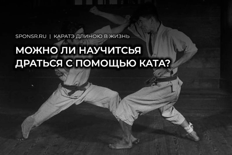 Можно ли научиться драться с помощью ката?