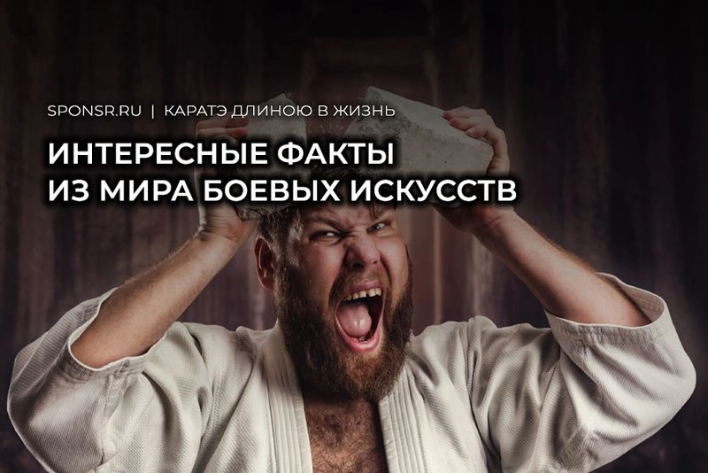 Интересные факты из мира боевых искусств
