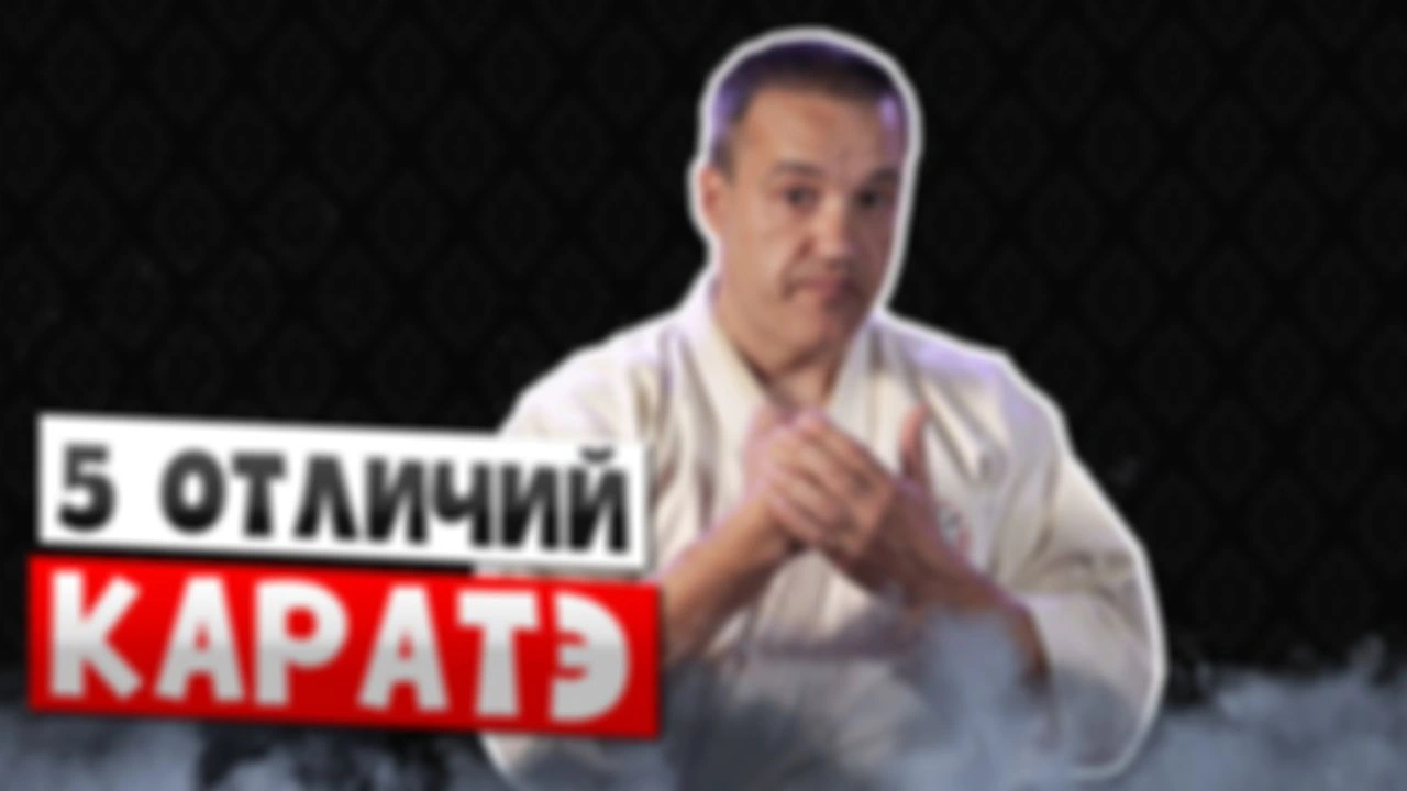 5 отличий каратэ от других боевых искусств. Ранний доступ