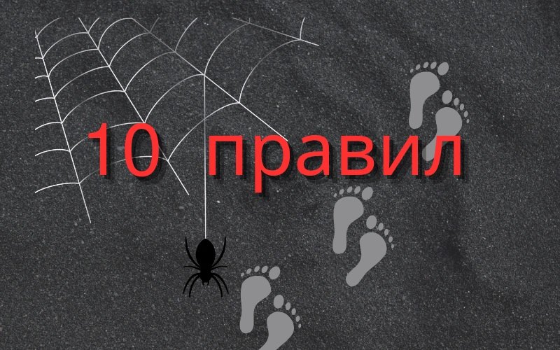 10 правил, которые нужно выучить после окончания токсичных отношений.