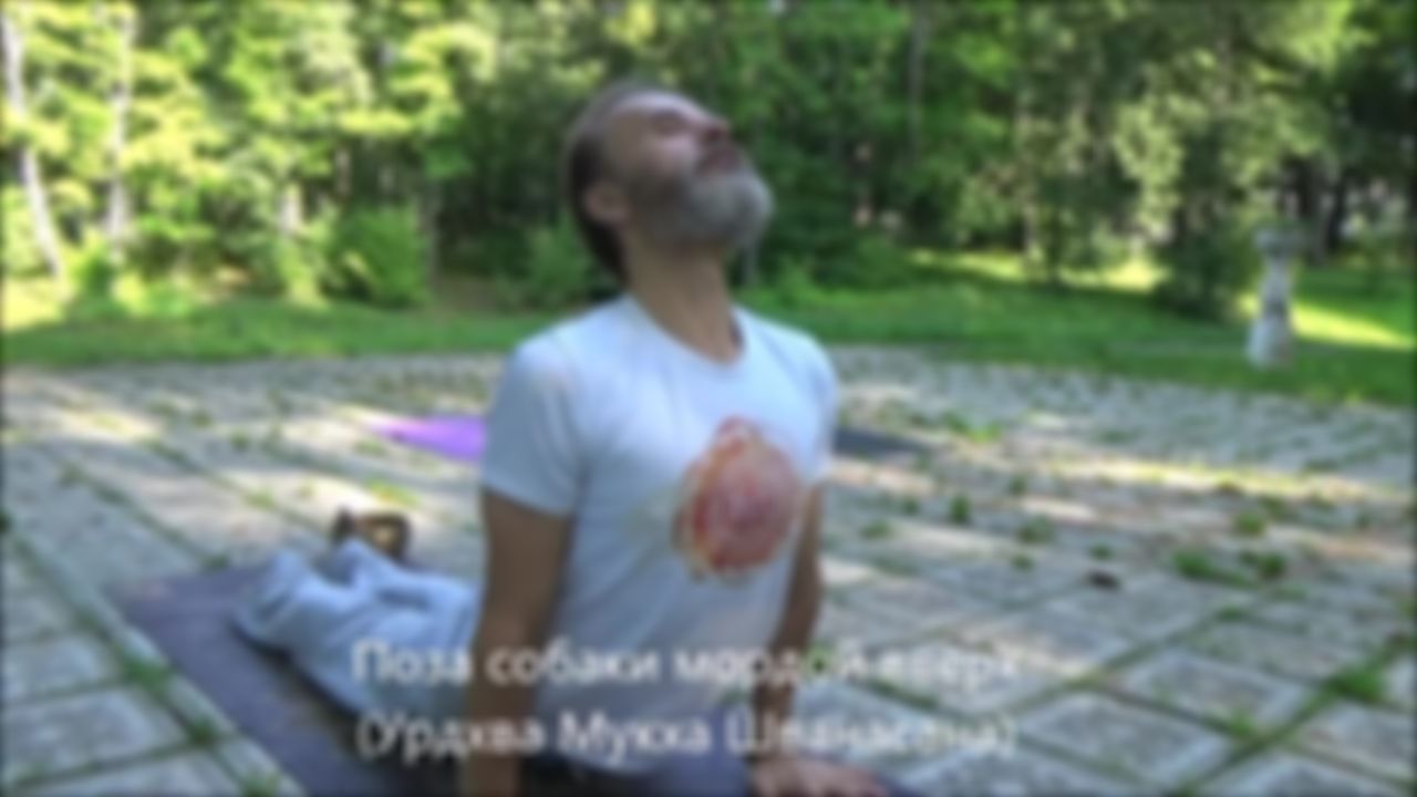 preview_image
