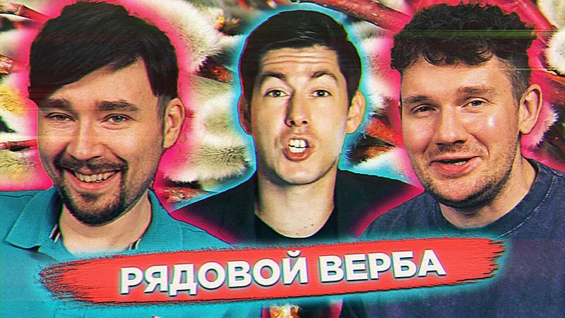 Дятел Руди: профессиональный левый ЛОМ