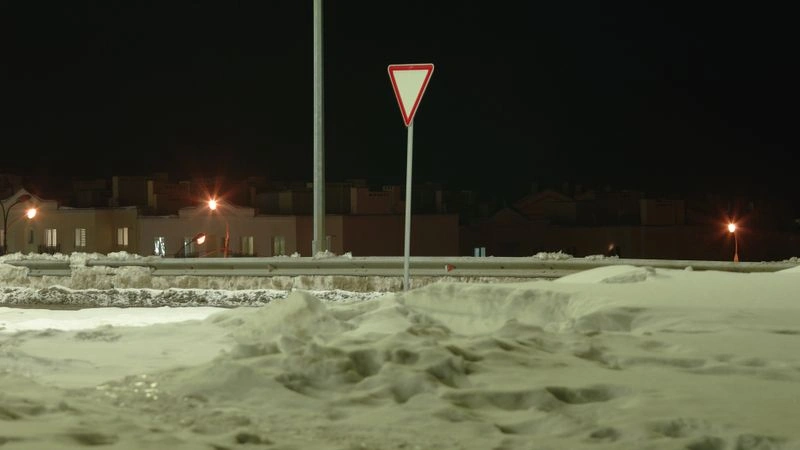 № 209 «Ночь. Зима».