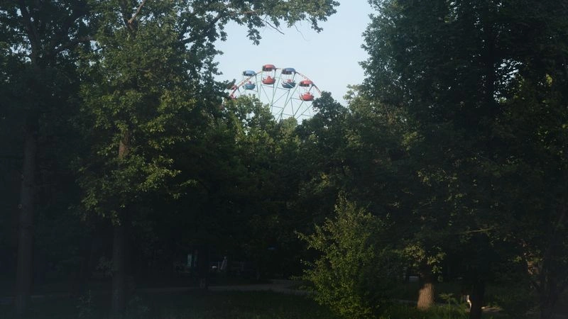 № 162 «Винтажный парк».