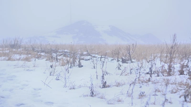 № 152 «Холодная пелена».