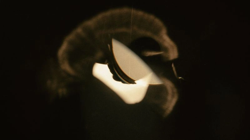 № 133 «Зарождение из хаоса».