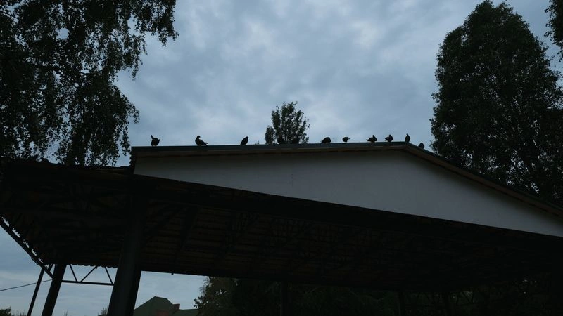 № 184 «В пасмурный день».
