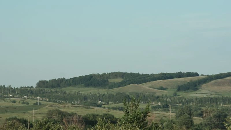№  228 «Холмы II».