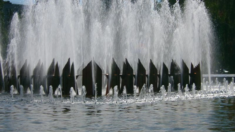 № 79 «Водные композиции».