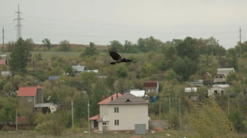 № 72 «Полет вороны».