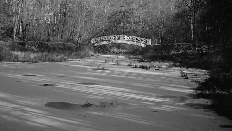 № 151 «Природа Остафьево».