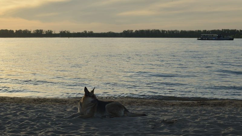 № 159 «Медитация».