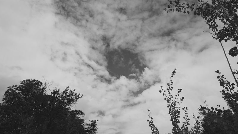 preview_image