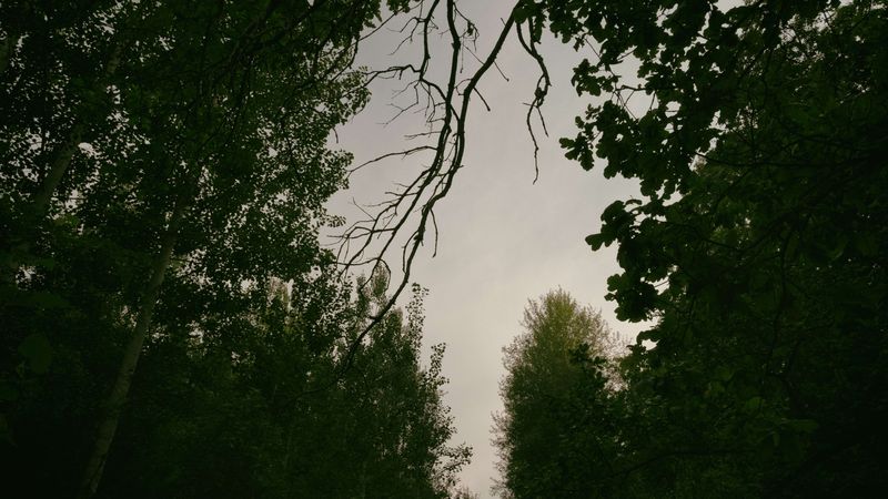 preview_image