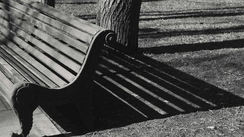 № 131 «Уличная съемка».