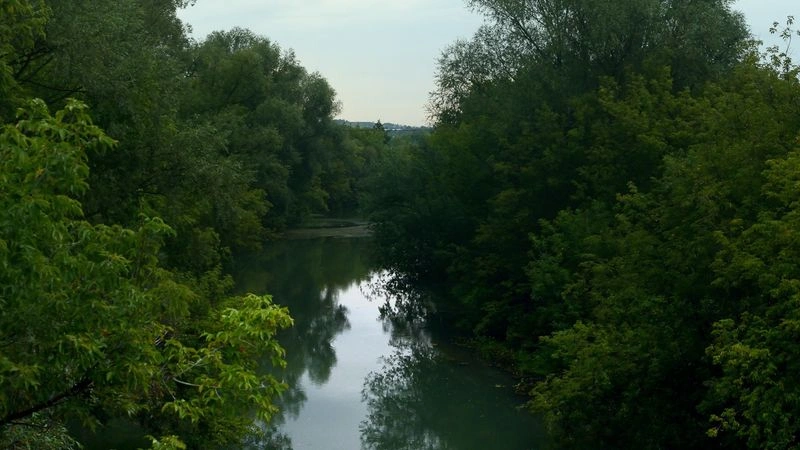 № 248 «Там где серные воды».