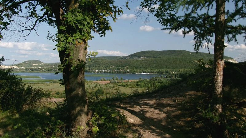 № 28 «Пейзажи теплых дней».