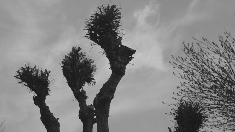 № 128 «Фигурная серия».