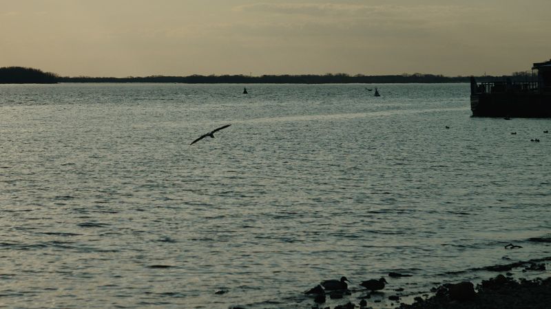 preview_image