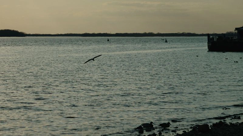 № 134 «Полеты на закате».