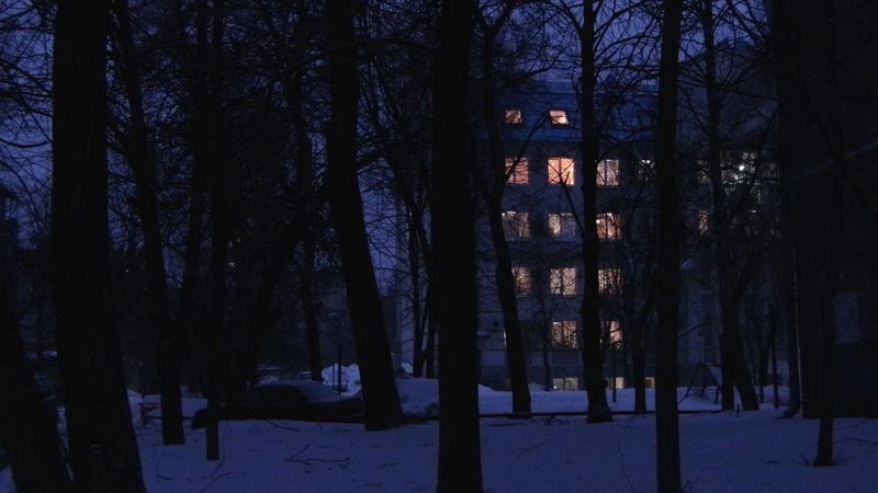 № 52 «Чернота отступает. Утро. Смешанный свет.»