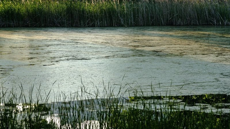 № 280 «Водная гладь».