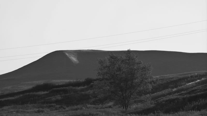 № 5 «We fade to gray»