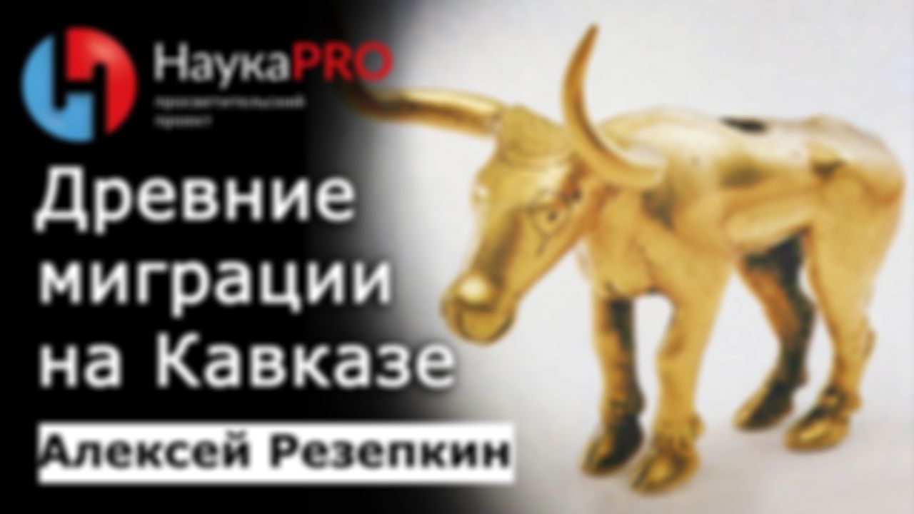 preview_image