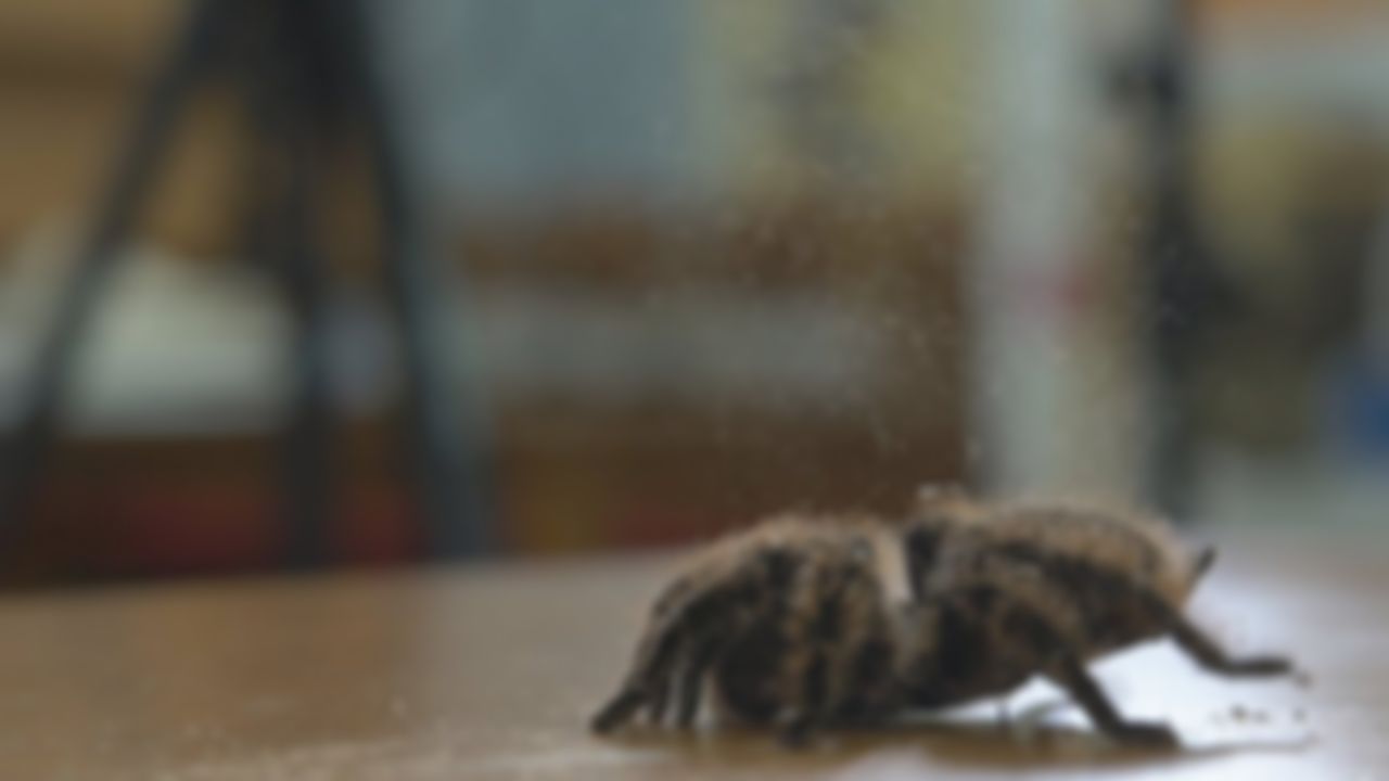 preview_image