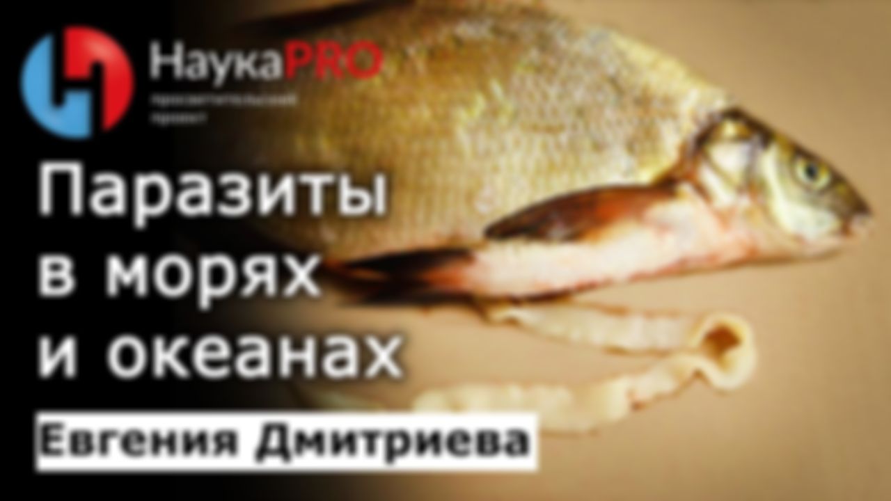 preview_image