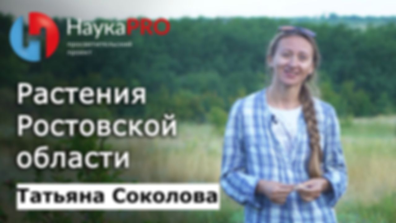 preview_image