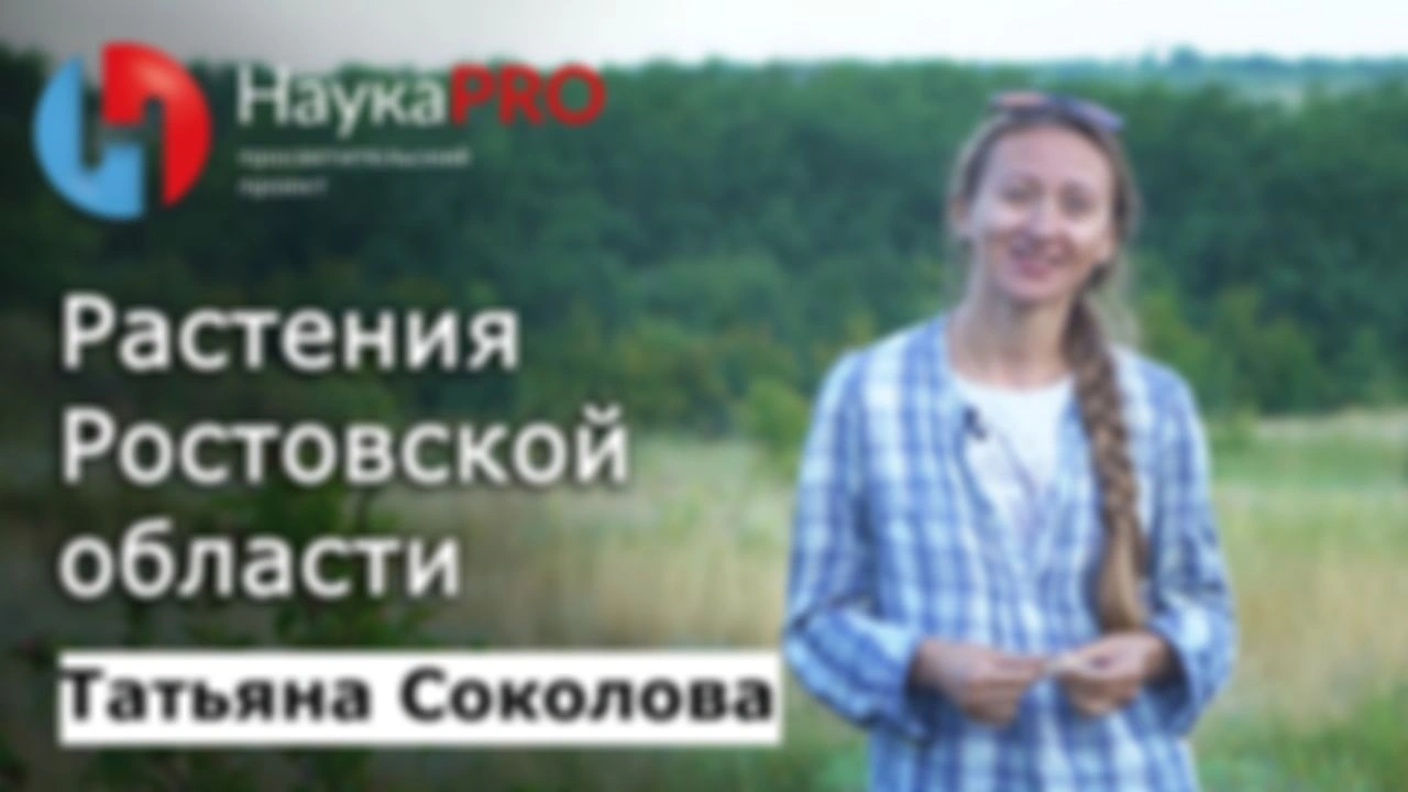 Растения Ростовской области – ботаник Татьяна Соколова