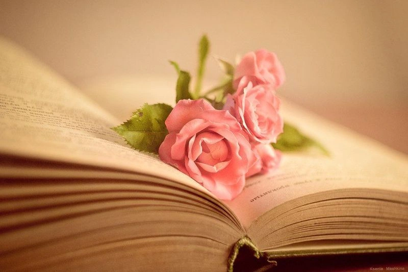 С Общероссийским днём библиотек!