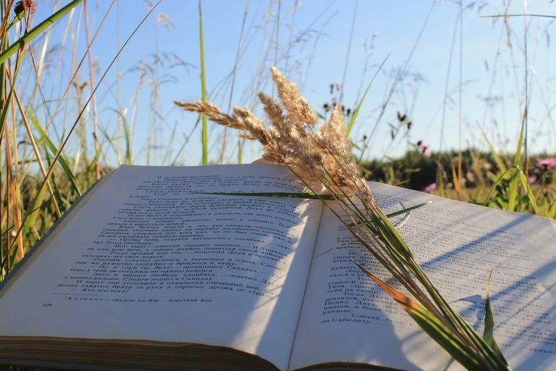 Отличные толстые книги для медленного летнего чтения