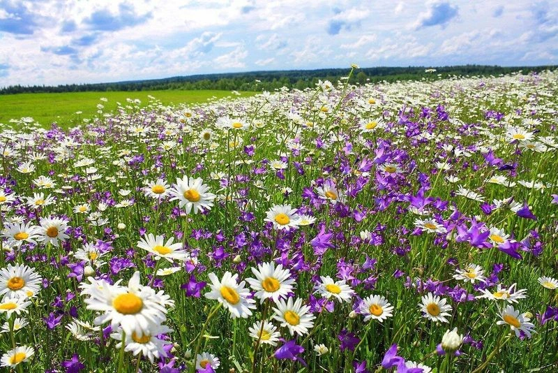 И тайная стопочка июня