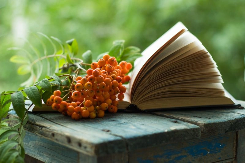Тайные книжные покупки сентября