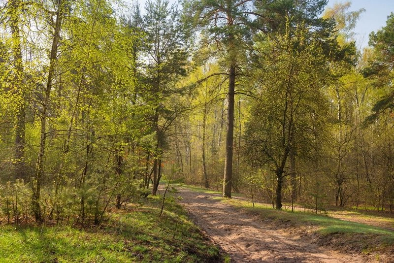 Нервное наведение порядка :)