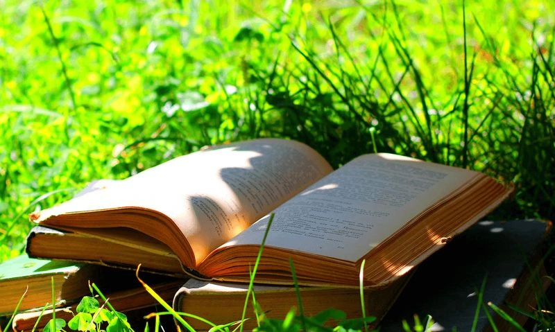 Чем займёмся летом?